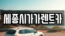세종시가가렌트카