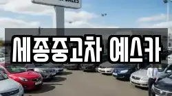 세종중고차 예스카