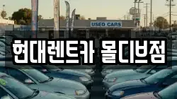 세종특별자치시 종촌동 렌트카,단기렌트카,장기렌트카,중고차,중고차매매,중고차매입