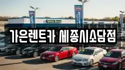 가은렌트카 세종시소담점