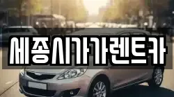 세종시가가렌트카