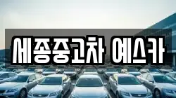 세종중고차 예스카