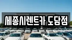 세종시렌트카 도담점