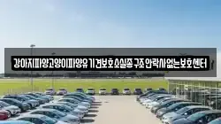 강아지파양고양이파양유기견보호소실종구조안락사없는보호센터