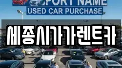 세종시가가렌트카