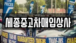 세종중고차매입상사