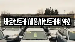 바로렌트카 세종시렌트카예약소