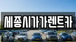 세종 고운동 렌트카,단기렌트카,장기렌트카,중고차,중고차매매,중고차매입