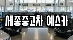 세종중고차 예스카