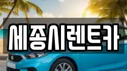 세종시렌트카