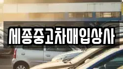 세종중고차매입상사