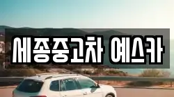 세종중고차 예스카
