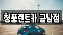 세종 금남면 렌트카,단기렌트카,장기렌트카,중고차,중고차매매,중고차매입