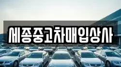 세종중고차매입상사