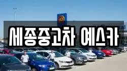 세종중고차 예스카
