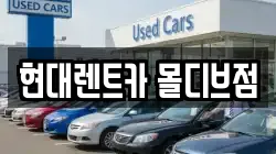 현대렌트카 몰디브점