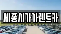 세종시가가렌트카