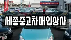 세종중고차매입상사