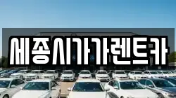 세종시가가렌트카