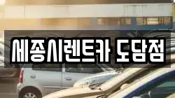 세종시렌트카 도담점