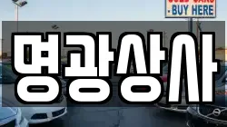 명광상사