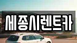 세종시렌트카