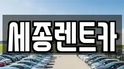 세종렌트카