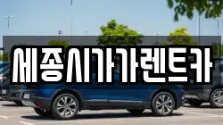 세종시가가렌트카