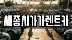 세종시가가렌트카