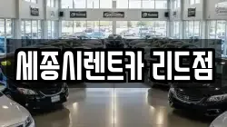 세종시렌트카 리드점