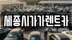 세종시가가렌트카