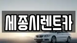 세종시렌트카