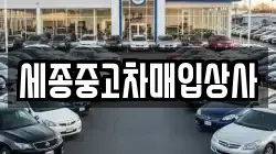 세종중고차매입상사