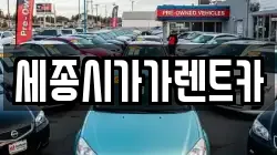 세종시가가렌트카