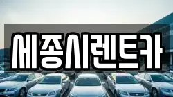 세종시렌트카