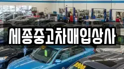 세종중고차매입상사