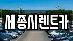 세종시렌트카