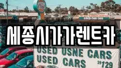 세종시가가렌트카