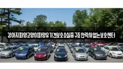강아지파양고양이파양유기견보호소실종구조안락사없는보호센터