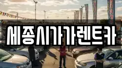 세종시가가렌트카