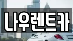 나우렌트카