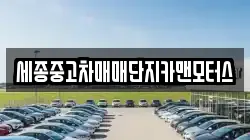 세종중고차매매단지카맨모터스
