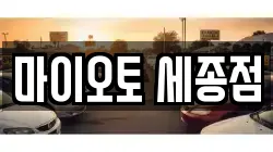 마이오토 세종점