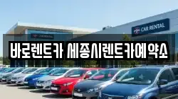 바로렌트카 세종시렌트카예약소