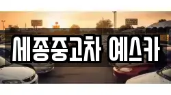 세종중고차 예스카