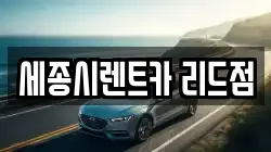 세종 한별동 렌트카,단기렌트카,장기렌트카,중고차,중고차매매,중고차매입
