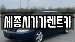 세종시가가렌트카