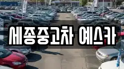 세종중고차 예스카