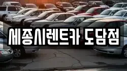 세종시렌트카 도담점
