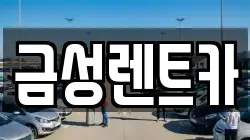 울산광역시 남구 렌트카,단기렌트카,장기렌트카,중고차,중고차매매,중고차매입